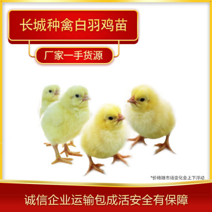 LǷNݰuشuN