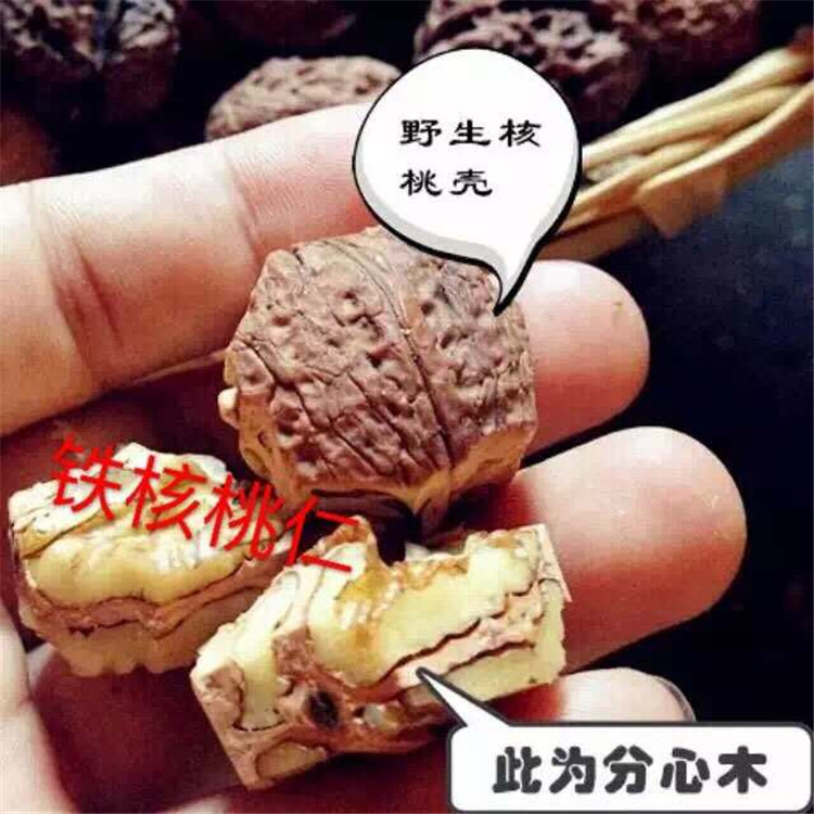 2021ե F Ͻ Ϯa^ 