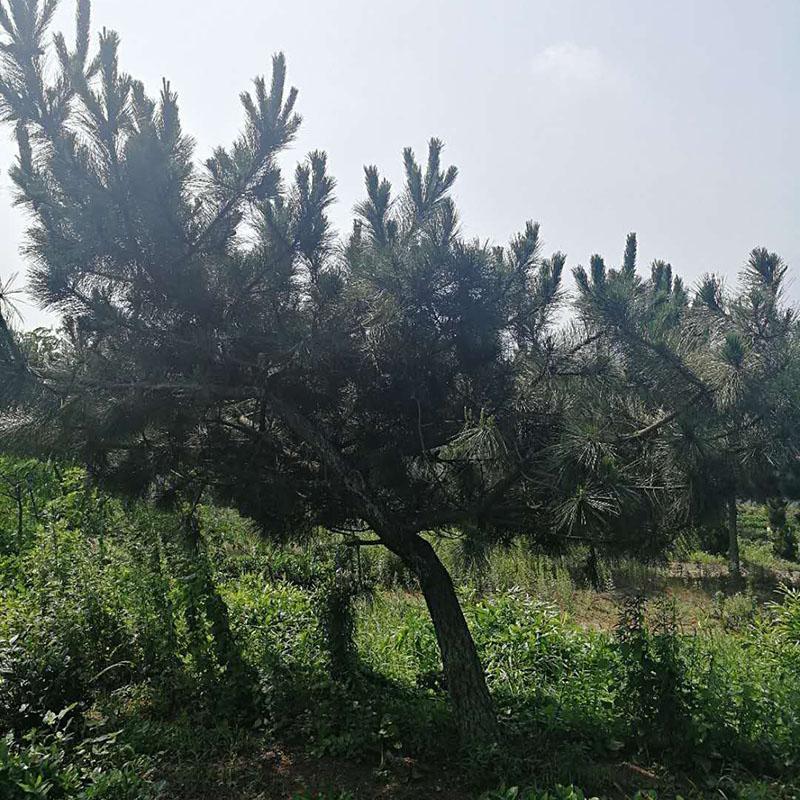 10ֺl-1׺籣rl؛-һ؛Դ-Nֲ