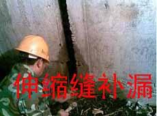 ꖴ_ˮa©ՌSˮa©Sޣ݁Sˮa©