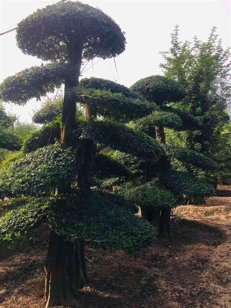 Ϟr